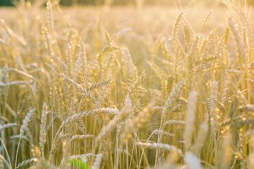 10 Ans de Mariage : Les Noces d&rsquo;Étain ✨
