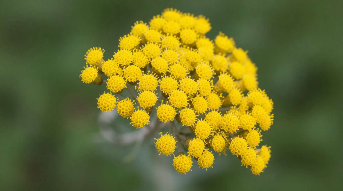 Comprendre la biochimie pour mieux maîtriser les risques